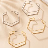 1 Paire Style IG Exagéré Style Simple Hexagone Le Fer Boucles D'Oreilles main image 7