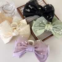Women's Casual Elegant Bow Knot Cloth Hair Claws main image 5