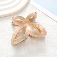 Women's Fairy Style Modern Style Korean Style Butterfly Acetic Acid Sheets Hair Claws sku image 5