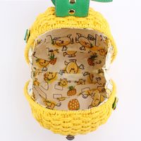 Women's Small Paper String Pineapple Cute Weave Round Lock Clasp Beach Bag main image 4