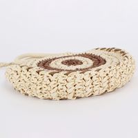 Women's Small Paper String Color Block Solid Color Vintage Style Beach Weave Zipper Straw Bag main image 3