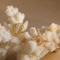 Copper Elegant Starfish Shell Zircon Ear Studs main image 4