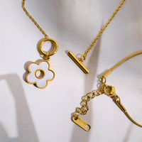 Titan Stahl Vergoldet Einfacher Stil Klassischer Stil Überzug Farbblock Halskette Mit Anhänger main image 3