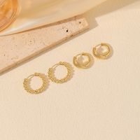 2 Pairs Elegant Simple Style Commute Circle Zinc Alloy 14K Gold Plated Earrings main image 5
