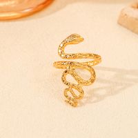 Elegant Queen Classic Style Snake 304 Stainless Steel 18K Gold Plated Open Rings In Bulk main image 4