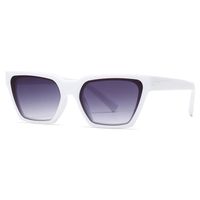 Modern Style Solid Color Pc Cat Eye Full Frame Women's Sunglasses main image 2