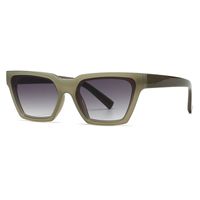 Modern Style Solid Color Pc Cat Eye Full Frame Women's Sunglasses sku image 5