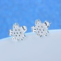 1 Pair Basic Classic Style Commute Flower Daisy Plating Copper Ear Studs main image 3