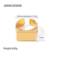 Simple Style Rectangle 304 Stainless Steel 18K Gold Plated Rings In Bulk sku image 1