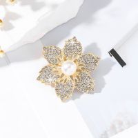 IG Style Sweet Flower Alloy Inlay Rhinestones Pearl Women's Brooches main image 3