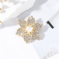 Style IG Sucré Fleur Alliage Incruster Strass Perle Femmes Broches main image 3