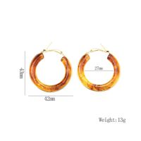 1 Pair Retro Exaggerated Circle Round Plating 304 Stainless Steel Arylic Resin 18K Gold Plated Hoop Earrings main image 9
