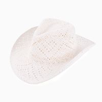 Women's Simple Style Classic Style Color Block Big Eaves Sun Hat Fedora Hat sku image 2