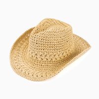 Frau Einfacher Stil Klassischer Stil Einfarbig Große Traufen Sonnenhut Fedora-Hut sku image 4