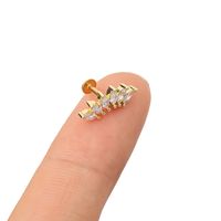 1 Piece Lip Rings Simple Style Classic Style Heart Shape Crown 316 Stainless Steel  Plating Inlay Zircon K Gold Plated Lip Rings Ear Cartilage Rings & Studs sku image 11