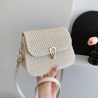 Women's Medium Straw Solid Color Classic Style Flip Cover Crossbody Bag main image 3