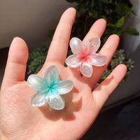 Women's Elegant Simple Style Artistic Flower Plastic Hair Claws main image 3