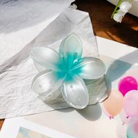 Women's Elegant Simple Style Artistic Flower Plastic Hair Claws sku image 3