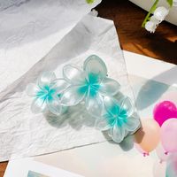 Women's Elegant Simple Style Artistic Flower Plastic Hair Claws sku image 5