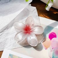 Women's Elegant Simple Style Artistic Flower Plastic Hair Claws sku image 4