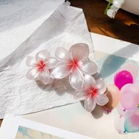 Women's Elegant Simple Style Artistic Flower Plastic Hair Claws sku image 6