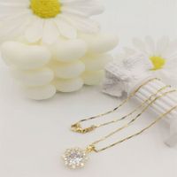 304 Stainless Steel Simple Style Classic Style Inlay Solid Color Rhinestones Pendant Necklace main image 5
