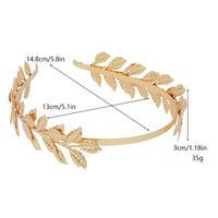 Women's Simple Style Leaves Metal Plating Hair Band main image 2