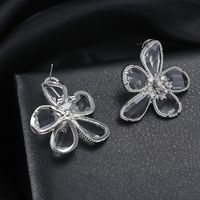 1 Pair Sweet Shiny Flower Inlay Glass Glass Crystal Zircon Ear Studs main image 4