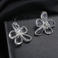 1 Paire Sucré Brillant Fleur Incruster Verre Verre Cristal Zircon Boucles D'Oreilles main image 4