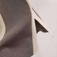Daily Women's Elegant Color Block Polyester Contrast Binding Pants Sets Pants Sets main image 5