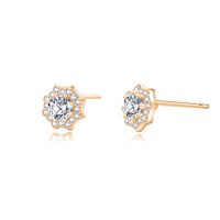 1 Paire Élégant Dame Style Classique Star Fleur Placage Incruster Argent Sterling Zircon Boucles D'Oreilles sku image 2