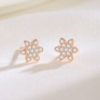 1 Pair Elegant Lady Modern Style Hexagram Plating Inlay Sterling Silver Zircon Ear Studs main image 7