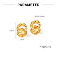 1 Paire Style Vintage Style Simple Double Anneau Acier Inoxydable 304 Boucles D'Oreilles main image 2