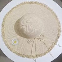 Women's Casual Simple Style Letter Daisy Embroidery Wide Eaves Straw Hat sku image 9