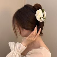 Women's Simple Style Classic Style Flower Cloth Braid Hair Claws main image 5