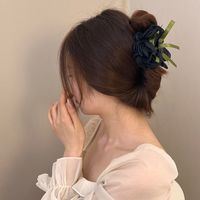 Women's Simple Style Classic Style Flower Cloth Braid Hair Claws main image 2
