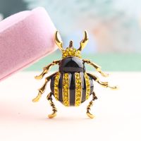 Casual Cute Beetles Alloy Inlay Rhinestones Unisex Brooches main image 8