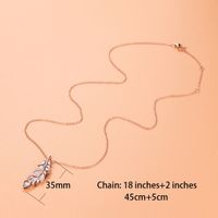 Sterling Silver Rhodium Plated Elegant Retro Simple Style Plating Inlay Feather Zircon Pendant Necklace main image 6