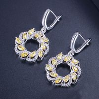 1 Pair Elegant Lady Modern Style Geometric Circle Plating Inlay Copper Zircon Drop Earrings main image 10