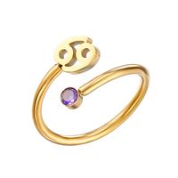 Stainless Steel 14K Gold Plated Hip-Hop Simple Style Classic Style Hollow Out Inlay Constellation Zircon Open Rings sku image 3