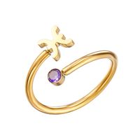 Stainless Steel 14K Gold Plated Hip-Hop Simple Style Classic Style Hollow Out Inlay Constellation Zircon Open Rings sku image 11