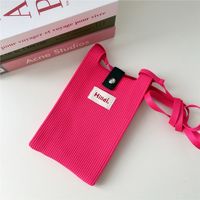 Mujeres Mini Tejer Letra Color Sólido Básico Estilo Vintage Cuadrado Hebilla Bolso Bandolera sku image 13