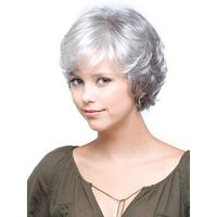 Women's Simple Style Street High Temperature Wire Side Fringe Short Straight Hair Wigs sku image 4