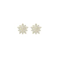 1 Pair Elegant Lady Flower Lotus Plating Inlay Sterling Silver Zircon 14K Gold Plated Ear Studs sku image 1