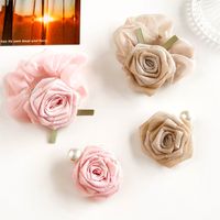 Women's IG Style Sweet Flower Gauze Inlay Pearl Hair Clip Hair Tie main image 5