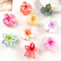 Women's IG Style Sweet Flower Plastic Hollow Out Hair Claws main image 1