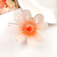 Women's IG Style Sweet Flower Plastic Hollow Out Hair Claws sku image 12
