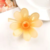 Women's IG Style Sweet Flower Plastic Hollow Out Hair Claws sku image 15