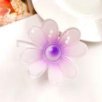 Women's IG Style Sweet Flower Plastic Hollow Out Hair Claws sku image 14