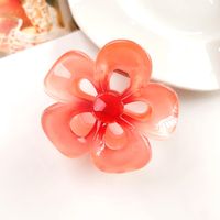 Women's IG Style Sweet Flower Plastic Hollow Out Hair Claws sku image 18
